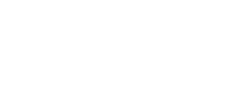 Zimmermanns